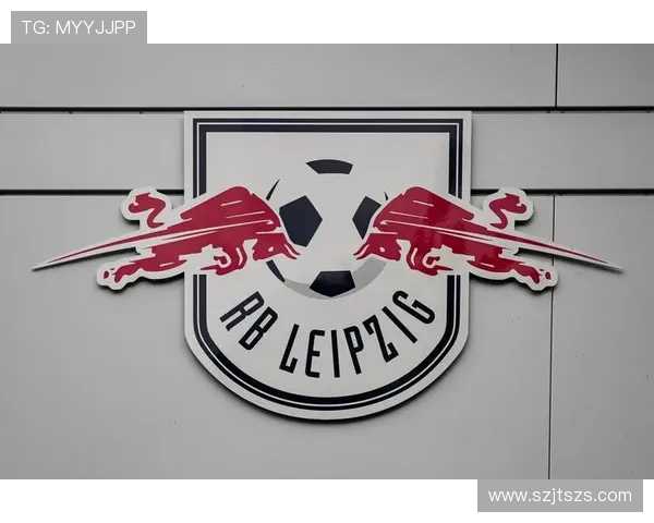 德甲球队“广实”名称来源考证（如存在）